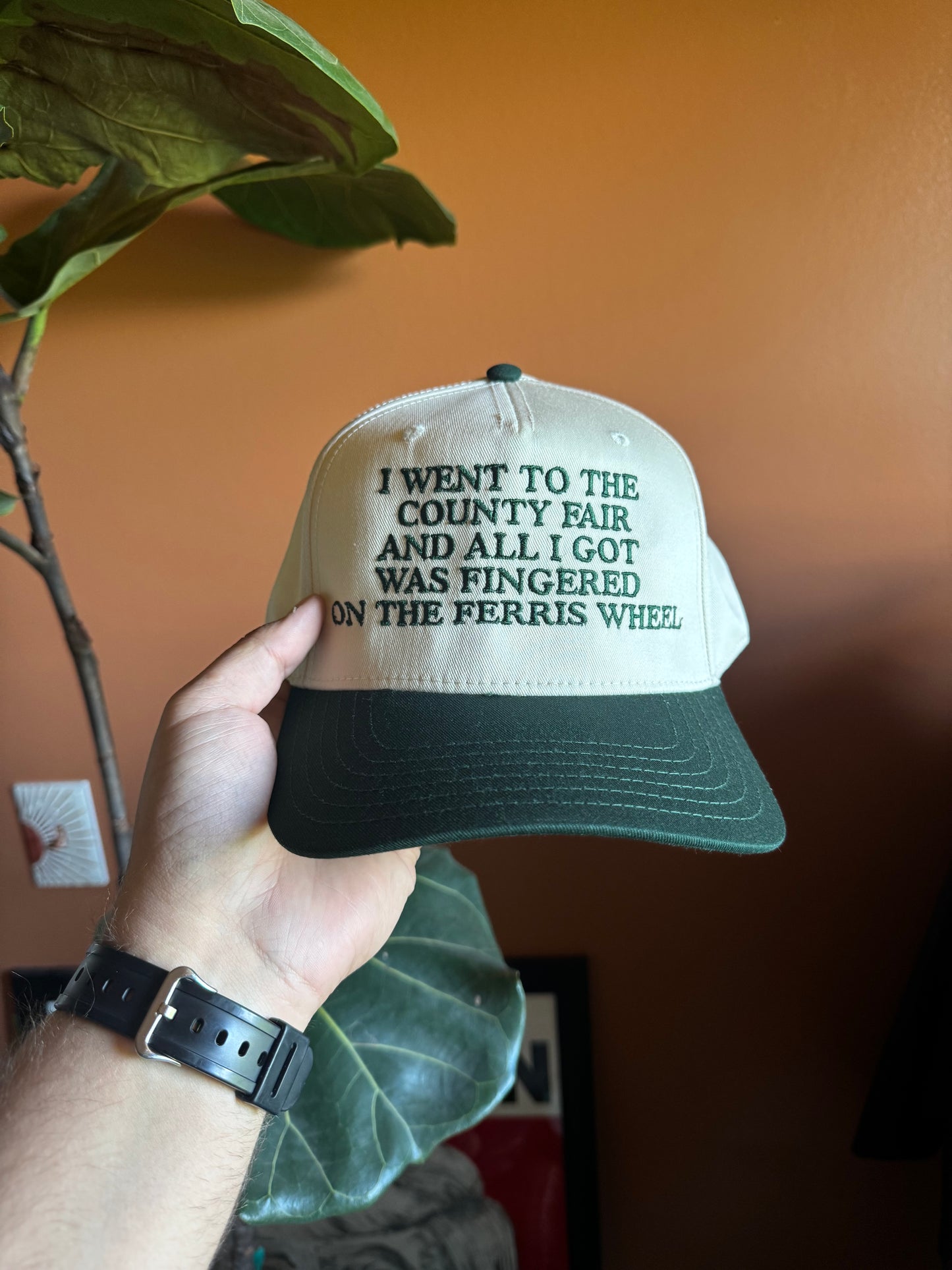 I went to the county fair baseball hat (Green)