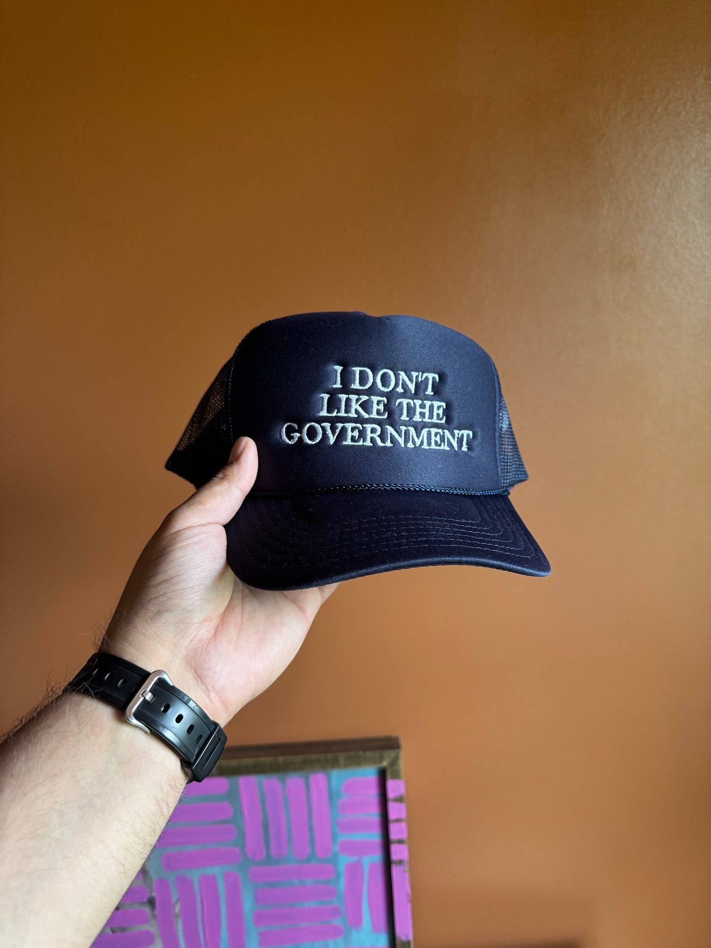 I don’t like the government