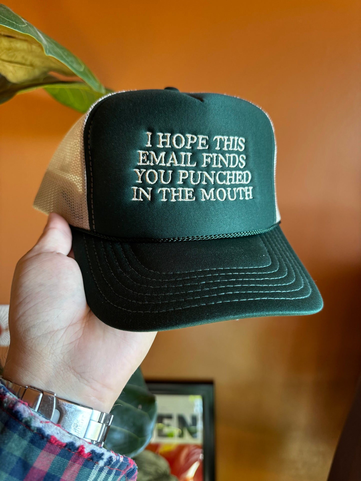 I HOPE THIS EMAIL FINDS YOU PUNCHED IN THE MOUTH