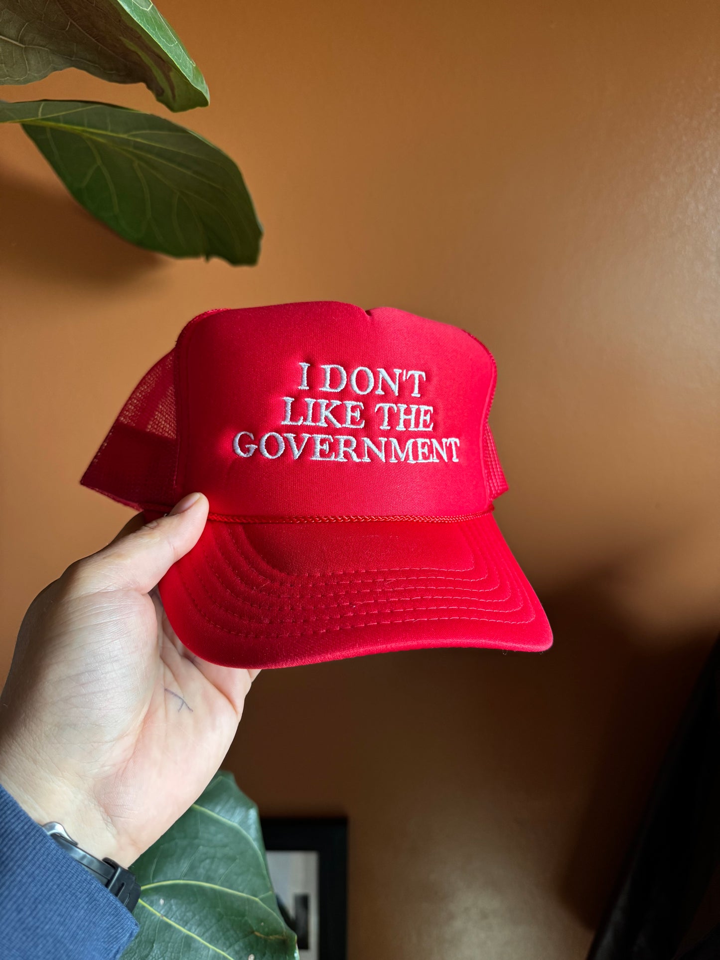 I don’t like the government (red/white)