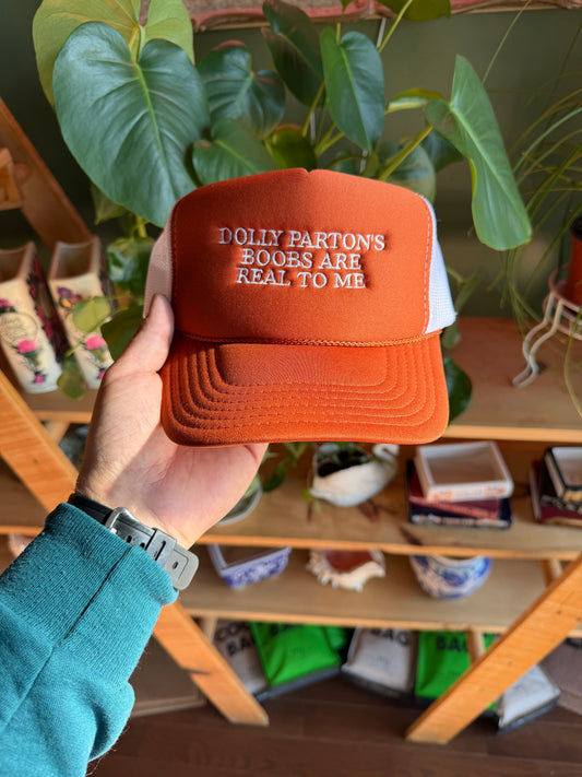 Dolly Parton’s Boobs are real to me (Rust)