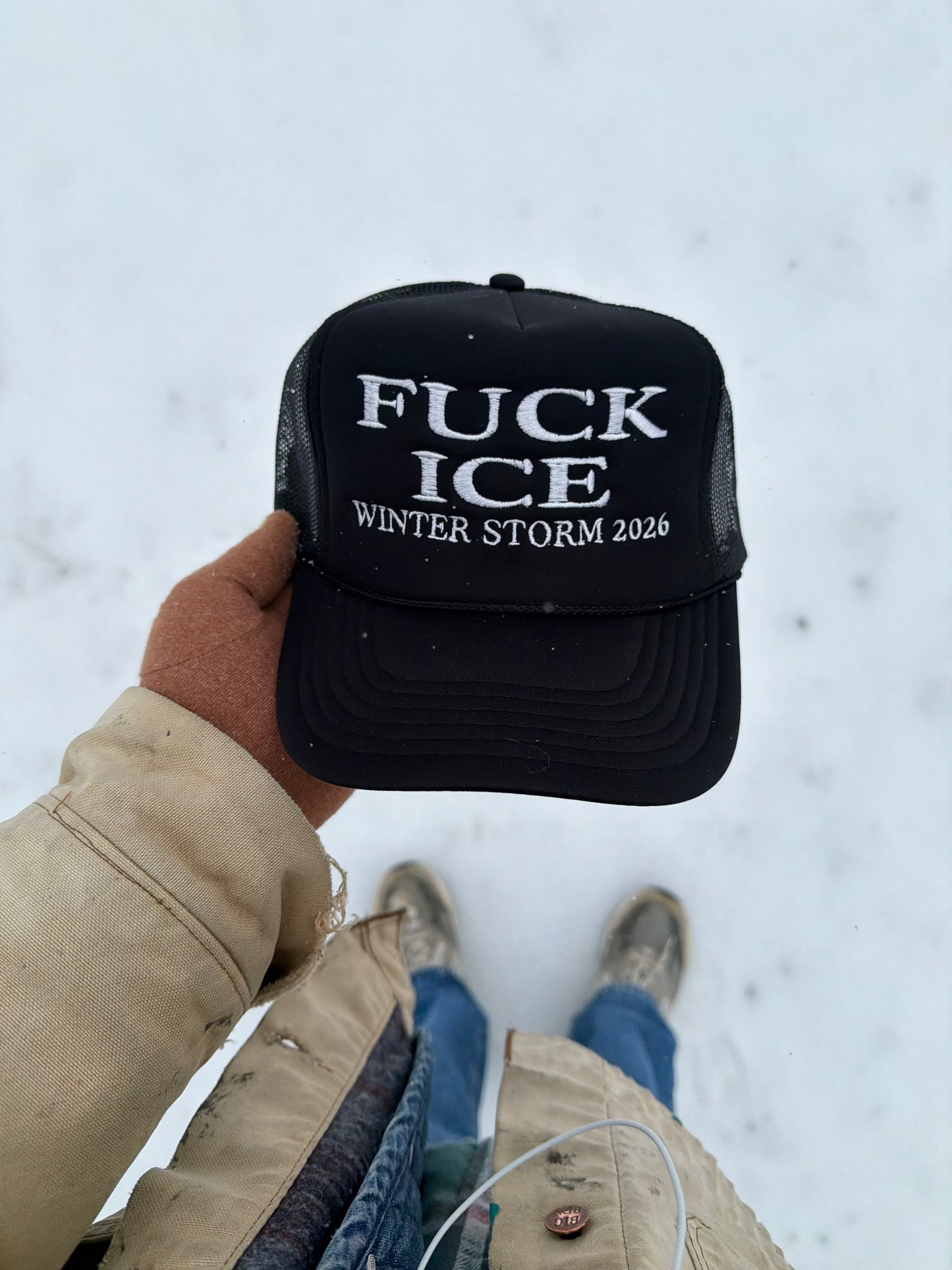 FUCK ICE WINTER STORM 2026