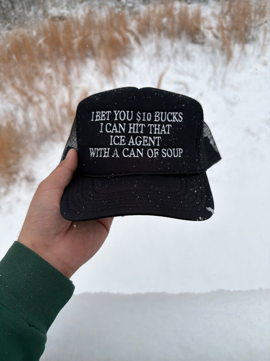 I BET YOU $10 BUCKS I CAN HIT THAT ICE AGENT WITH A CAN OF SOUP