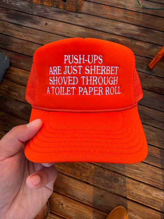 Push-Ups Are Just Sherbet Shoved Through a Toilet Paper Roll